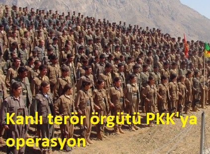 Aydn'da_terr_rgt_PKK'ya_operasyon