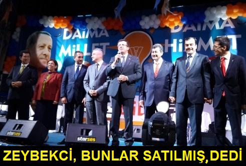 Didim'de_Bakan_Zeybekci:_(Gezi_eylemcileri)_Bunlar_satlm_maa