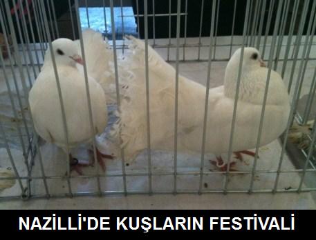 Nazilli'de_gvercin_ve_kanarya_festivali